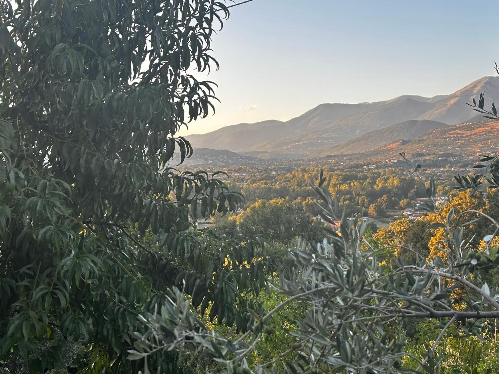 شقة La Casa In Collina Veroli المظهر الخارجي الصورة